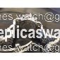 Michele Stainless Steel Carousel Mww03m000136 Watch Michele Stainless Steel Carousel Mww03m000136 Watch