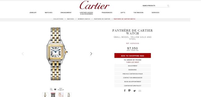 Cartier Gold and Stainless Panthere De 22mm 18k Two Row Watch Cartier Gold and Stainless Panthere De 22mm 18k Two Row Watch