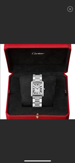 Cartier Womens Tank Solo Large Model Watch Cartier Womens Tank Solo Large Model Watch